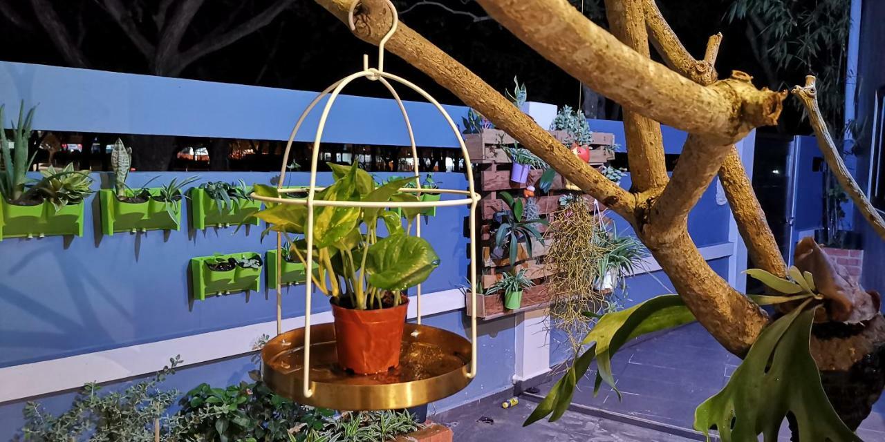 Oneriimba Private Pool & Garden Residence Johor Bahru Exterior foto